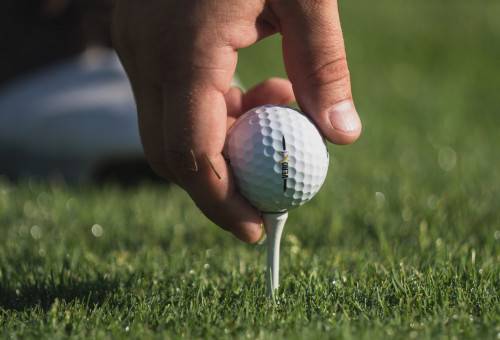 Book a Tee Time